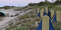Cygnet Bay Beach Camp - Tourer Style Tents