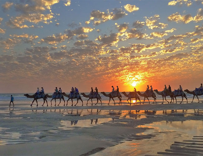 Sunset camel ride Broome