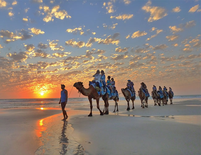Broome sunset camel ride