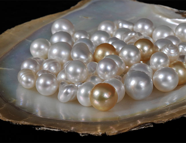 Beautiful Cygnet Bay Pearls